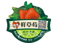 南京傅家邊老朱精品草莓園 采摘、農(nóng)家樂(lè)與田園時(shí)光的完美攻略
